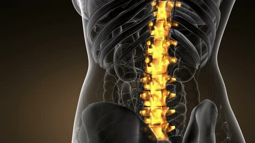 Backache in Back Bones