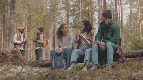 Friends on Camping Trip in Forest
