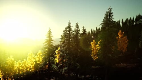 Coucher de soleil lumineux dans les montagnes