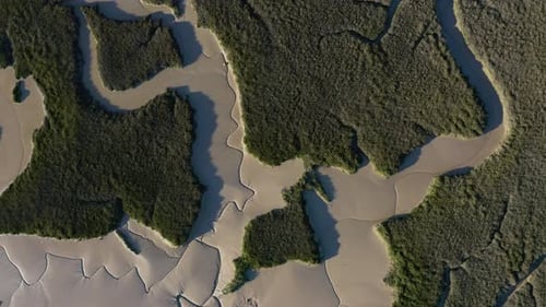Marshes From Above 2 Drone 4K