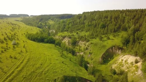Green Forest And Ravine