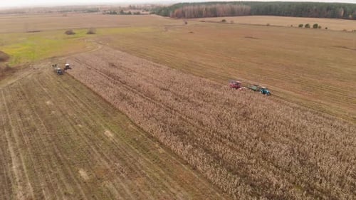 Agricultural Machinery Harvesting Crops in a Rural Field