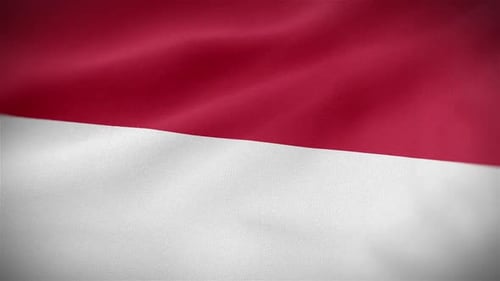 Waving Flag of Indonesia with Fabric Texture