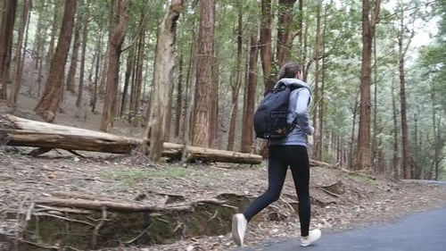 Woman Tourist Jogs Trail Pine Forest During Travel