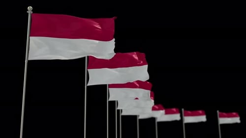 Waving Red and White Flags on Black Background