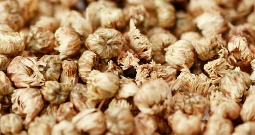 Pile of Dried Chrysanthemum Flowers for Tea