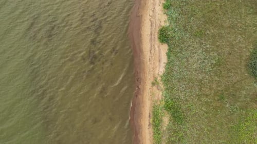AERIAL: Top Down Flying Over Coast with Green Grass and Shallow Water