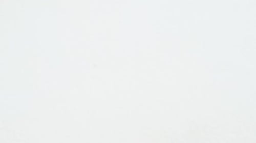 Various spices in spoon on white background 4k