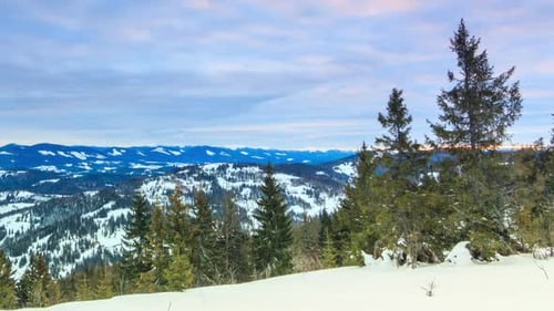 Beautiful Winter Landscape