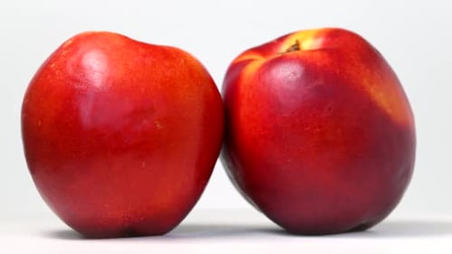 Zooming Close Up of Two Ripe Nectarines