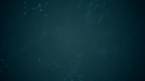 Futuristic Digital Data Network Connections Background Animation