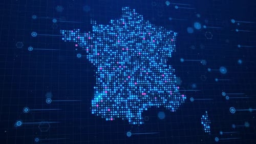 French Digital Business Networks