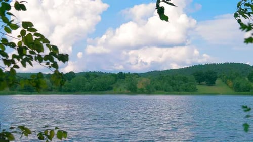 Bosque fluvial