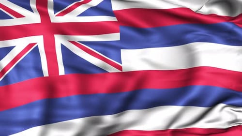 Realistic Waving Flag of the State of Hawaii