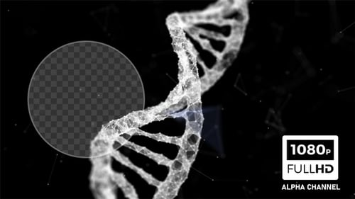 Plexus-DNA-Code