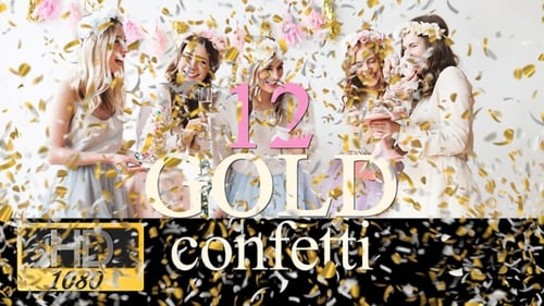 Golden and Silver Confetti Falling Celebration Overlay