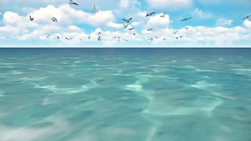 Seagulls Fly Above Ocean In Blue Sky