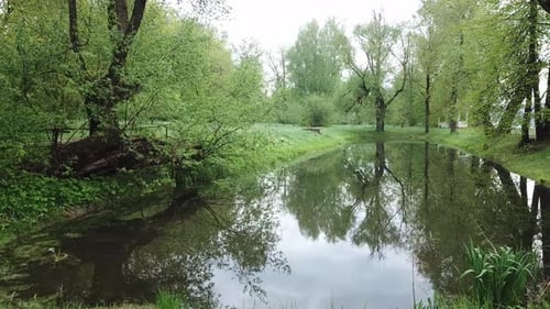 Spring In A Country Estate
