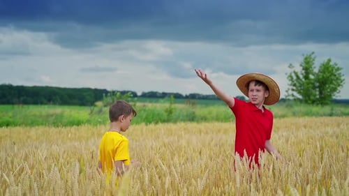 Happy child in wheat field. Two brothers walking in wheat field
