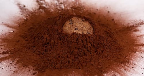Cookie falling into Black Powder Chocolate, Slow Motion 4K