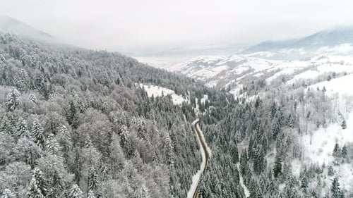 Car Driving Along the Forest Road in Winter