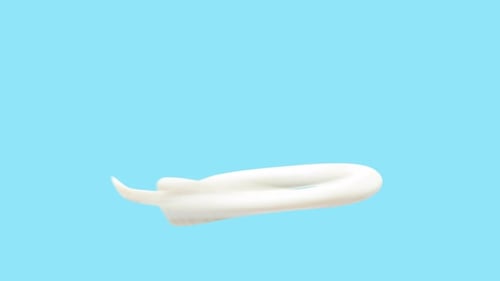 Milk Spread 3D-Renderbewegung inklusive Alpha