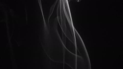 Fumée