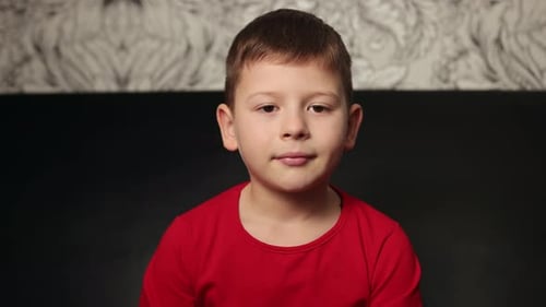 Portrait of Boy Looking Into a Camera Smiling