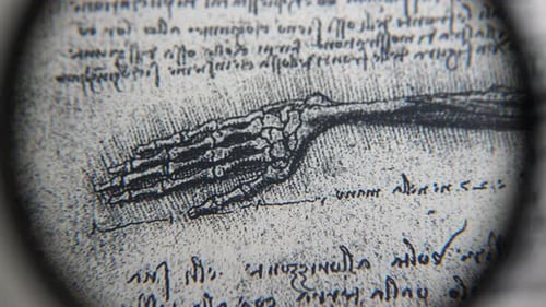Anatomie-Kunst