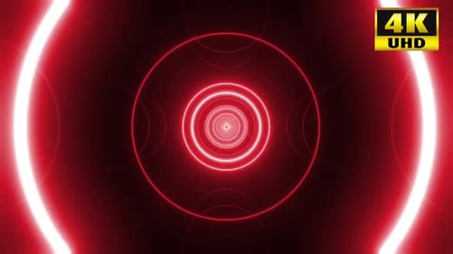 Pack de 5 néons circulaires VJ