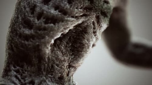 Organic Textured Surface Decay Macro Animation