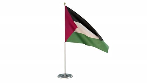 Realistic Palestine Flag Waving Animation on White Background