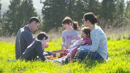 A family with 4 children having a picnic outdoors on a green hill in the sun