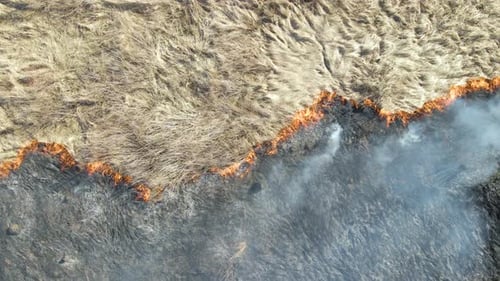 Aerial View of Grassland Field Burning with Red Fire During Dry Season
