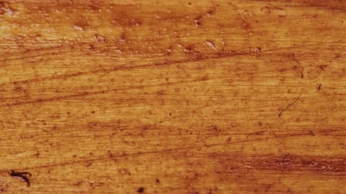 Wood Timber Construction Material for Background and Texture in Shop