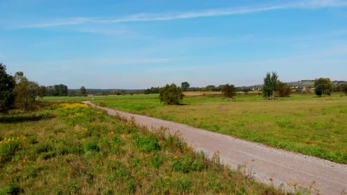 Wild Meadow