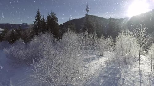 Gefrorener Winterwald tief mit Schnee bedeckt unter der Sonne