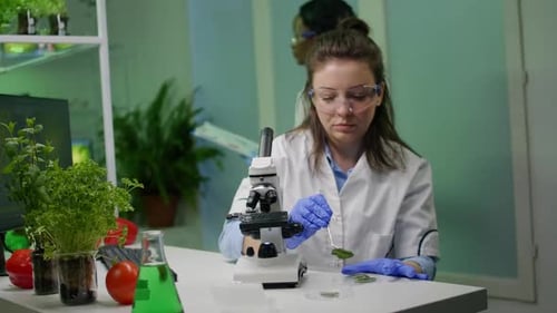 Woman Scientist Analyzing Leaf Sample in Laboratory