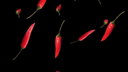Falling Red Chili With Alpha Channel