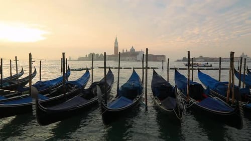 Venice Gondolas on San Marco Square, Venice, Italy