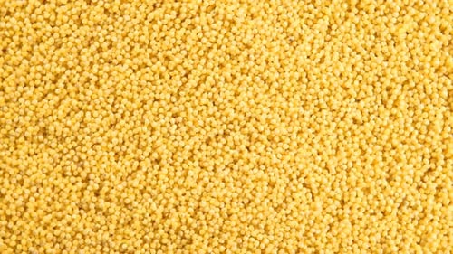 Close Up of Yellow Millet Grain