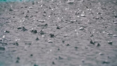 Large Drops of Rain Fall in a Puddle During a Rainstorm. Water Drops in Slow Motion.