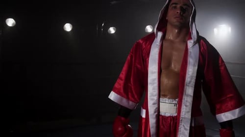 Boxer training in boxing ring