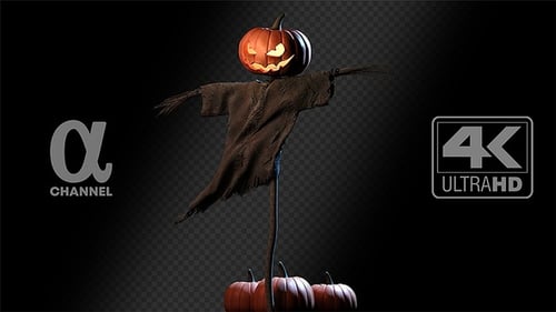 Animated Halloween Scarecrow Jack-o'-Lantern Character Loop