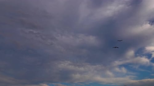 Time-Lapse of Majestic Clouds at Sunset with Birds