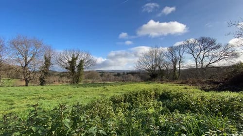 Idyllic Green Field with Bare Trees