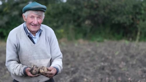 Smiling Senior Farmer Holding Fresh Potatoes
