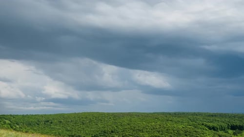 Zeitraffer der Gewitterwolken bewegt sich schnell über den Himmel über dem grünen Wald