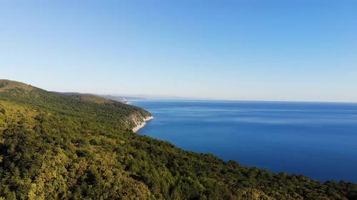 View of the forest and sea. Sea and trees from dron.