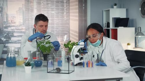 Scientists Working Together in Bright Modern Laboratory